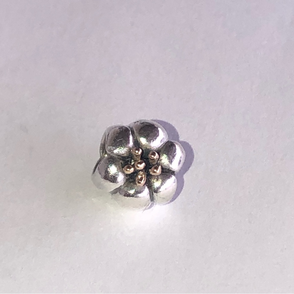 Pandora 14k Silver Flower Charm